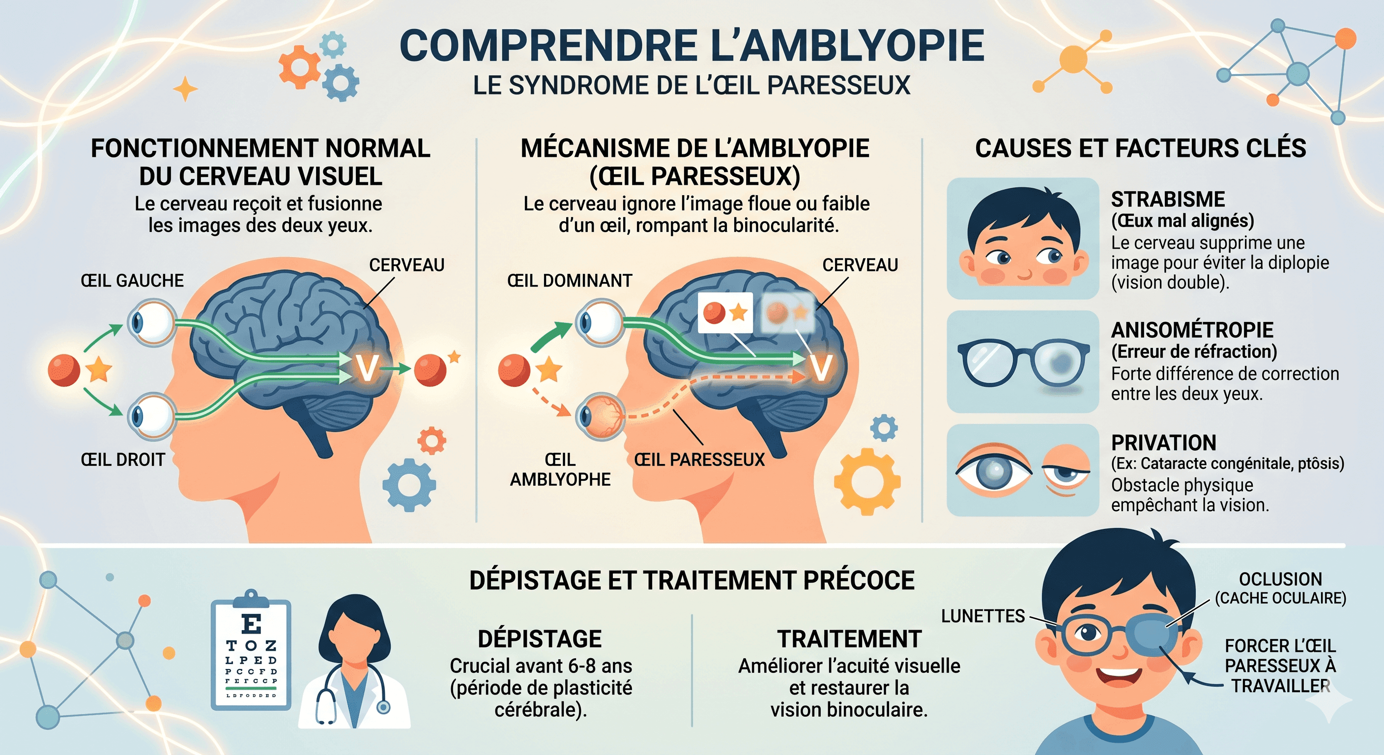 Amblyopie (œil paresseux) : causes, symptômes et traitements à tout âge